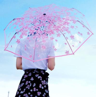 China Modern Ins Small Daisy Automatic Umbrella Transparent for Women Girl Students Paraguas Mujer Sombrillas Three Fold Transparent Umbrella for sale