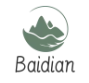 Shandong Baidian Energy Technology Co., Ltd.