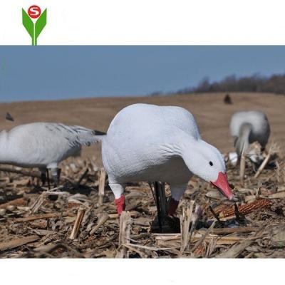 China Plastic Lake Decoys Snow Goose Hunting Decoys For Hunting for sale