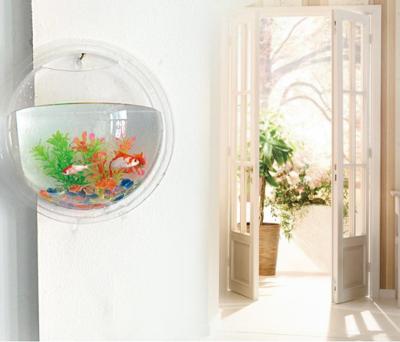 China Viable Wall Mounted Clear Acrylic Z15 Hanging Decoration Fishbowl for sale