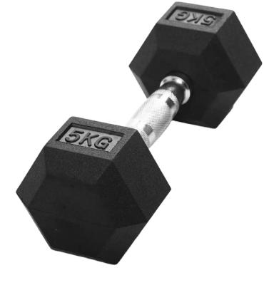 China Home Gym or Crossfits Gym Equipment Cast Hex Dumbbell for sale