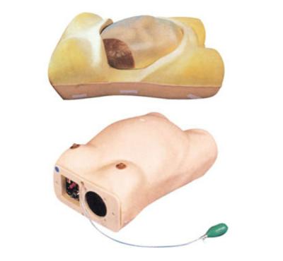 China Subject Nasal Simulator Medical Science Teaching Series Child Birth and Fetus Medical Advanced Maternity Model for sale