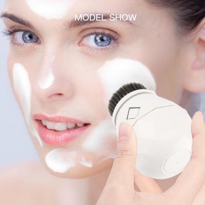 China DEEPLY CLEANSER 2021 Best Selling Wireless USB Sonic Silicone Facial Cleansing Brush Waterproof Electric Rechargeable for sale