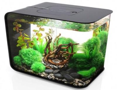 China Viable Display Aquarium Wholesale Acrylic Fish Tank for sale