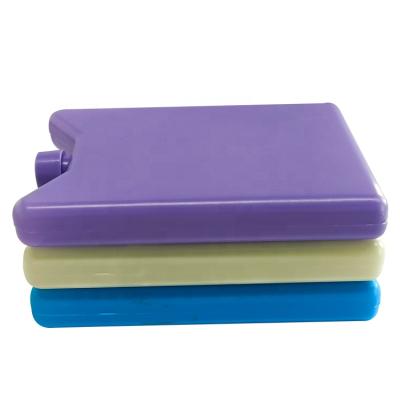 China Unique Hot Selling Healthy Cold Insulation Ice Packs Bag Cooler Food Ice Brick For Picnic for sale