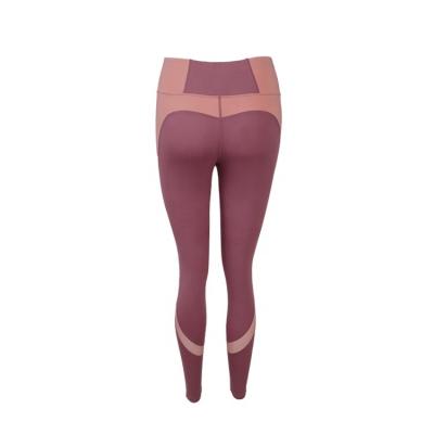 China Factory Breathable Sport Leggings Four Way Stretch Women Premium Yoga Tights for sale