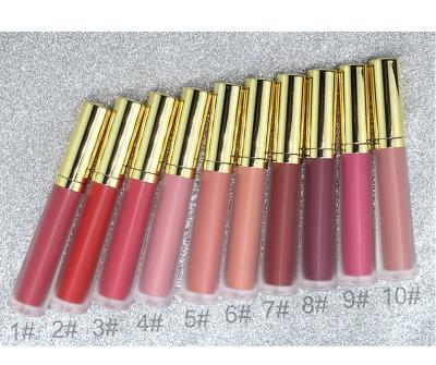 China DIY Waterproof Lip Lip Glossy Manufacturing Private Label Kits Kits Suppliers for sale