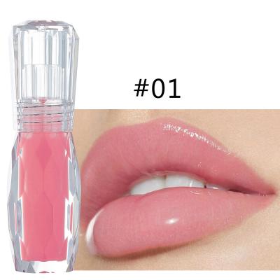 China Wholesale waterproof vegan shimmer lip gloss 6color makeup lubricant long lasting blam lip gloss cosmetics with clear tube no label for sale