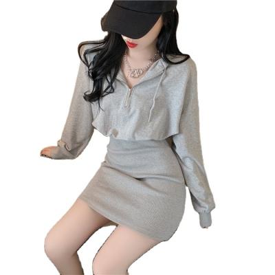 China 2021 Washable Mid Length Autumn New Korean Hooded Hip Sweater Spring And Sweater Dress for sale