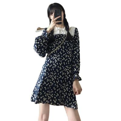 China Korean Style Of Floral Dress Washable Soft Women'S Trim Lace Collar Doll Sleeve Lantern Spring New Dating Skirt for sale