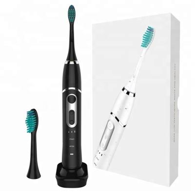 China Battery Operated Rechargeable Sonic Dental Care Electric Toothbrush for sale