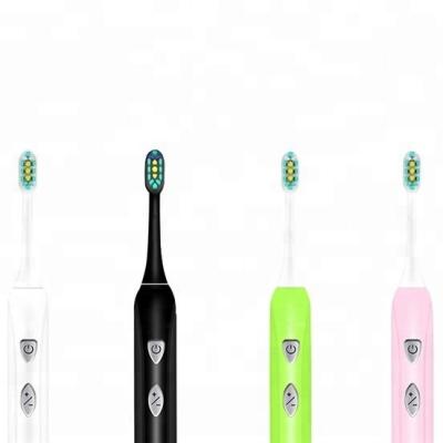 China Sonic Adult Lithium Battery Rechargeable Battery Operated Dental Care Electronic Toothbrush for sale