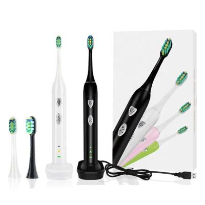 China Cheap Strokes Waterproof Ultrasonic Battery Operated Sonic Electric Tooth Brush IPX7 Rechargeable Toothbrush Low MOQ 32000 for sale