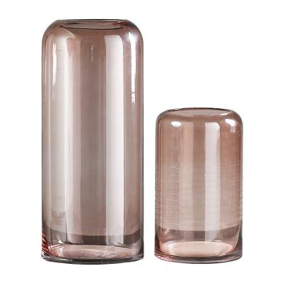 China Simple Modern Minimalist Brown-Pink Straight Transparent Glass Hydroponic Home Furnishing Glass Vase for sale