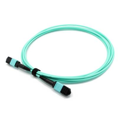 Κίνα 12 Fibers MTP Female To MTP Female OM3 3,0mm LSZH MTP Patch Cord Custom Meters προς πώληση