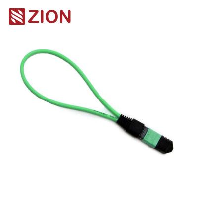 China 24 Fibers MTP Singlemode Fiber Optic Loopback Module /Cable for sale