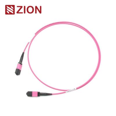 Κίνα 24 Fibers MPO Female To MPO Female OM4 3,0mm LSZH MPO Patch Cord Custom Meters προς πώληση