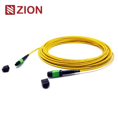 Κίνα 24 Fibers MPO Female To MPO Female Singlemode 3,0mm LSZH MPO Patch Cord Custom Meters προς πώληση