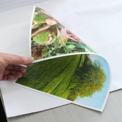 Κίνα A3 Waterproof Glossy RC Photo Paper Inkjet Printing Film OEM προς πώληση