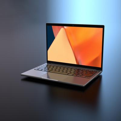 Cina Intel celeron n4020 1920*1200 IPS full screen 16:10 resolution computer wireless 13.3 inch notbook laptop intel windows 10 laptops on business in vendita