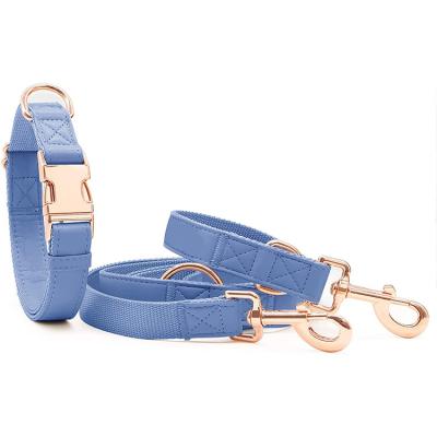 China Personalized Rose Gold Heavy Duty Metal Stylish Buckle Dog Collar Soft Leather Leash for sale