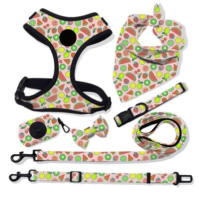 China Wholesale Customized Design Dog Collar and Leash Padded Set Adjustable Reversible Designer Dog Harness for sale