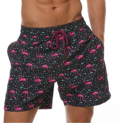 China Plus Size Flamingo Print Panel Shorts Mens Fashion Swimwear Shorts Trunk Sports Pants Casual Men's Briefs Swimwear Kid Fruit Beach Shorts for sale