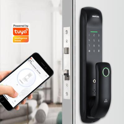 China Tuya wifi digital door locks household door locks WiFi APP biometric fingerprint TT electric smart lock for sale