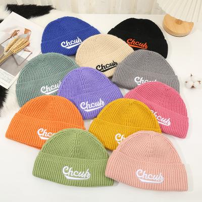 China COMMON most popular winter slouchy cheap hats unisex adults knitted hats with custom logo for sale