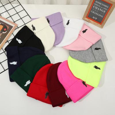 China COMMON Market Wholesale Fashion Knitted Beanie Winter Cotton Hats Warm Knitted Custom Unisex Adult Hats for sale