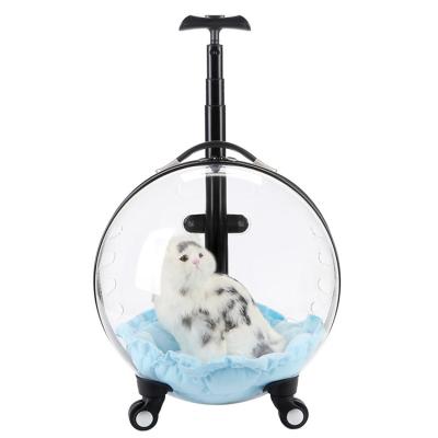 China 2021 Newly Design Breathable Clear Large Transparent Ball Style 4 Wheel Cat Kitty Dogs Travel Pet Trolley Crate Carrier for sale