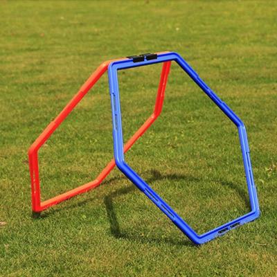 China Durable 6 Ring Size Multi Color Football Hexagonal Speed ​​And Agility Ladder for sale