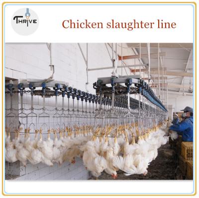 China A whole line for chicken killing machine/stainless steel machine for killing chicken for sale