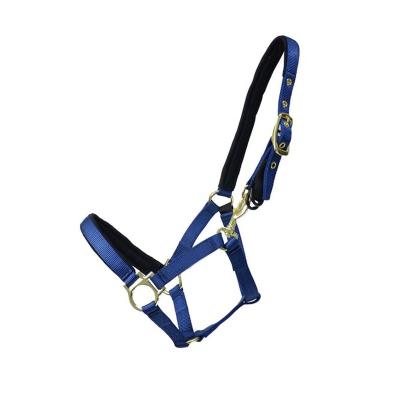 China Durable Horse Rider Branded Print Soft Padded Comfortable Safety Halter Head Collar for sale