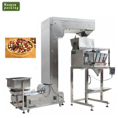 China Food Easy To Operate 1000g Snacks Potato Chips Granule Packing Machine for sale