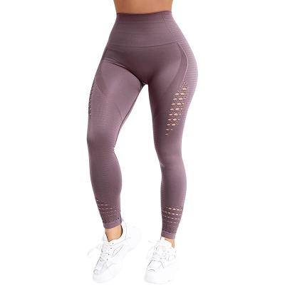 China Breathable High Waist Seamless Gym Leggings For Women Hollow Out Compression Workout Yoga Pants for sale