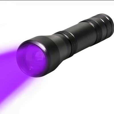 China Super Bright UV Rechargeable Flashlight 385-395nm Blacklight Flashlights Professional Camping Pet Urine Detector for sale