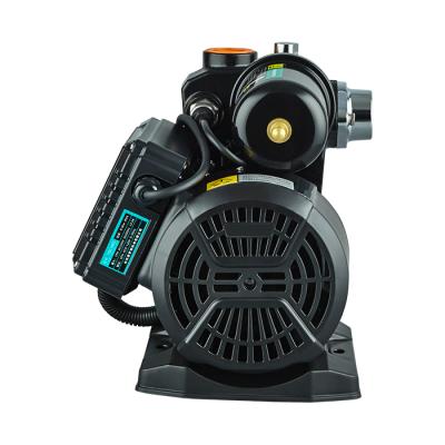 China Commercial Plastic Seal Engine Small Buildings Generator Multimode Giant Water Pump 0.8 Hp In Home for sale