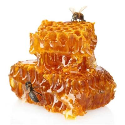 China Plant Nutrition Thorns Nest Honey Bees Nest Mountain Flower Soil Wholesale Comb Honey for sale