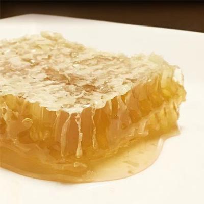 China Pure Factory Nutrition Premium Quality Bee 100% Natural Honey Comb - Private Label OEM for sale