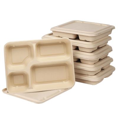 China Environmentally Friendly Biodegradable Cans Sugar Cane Biodegradable Food Containers Lunch Bowl Takeout Container Bagasse Packaging Box for sale