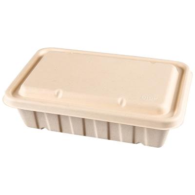 China Environmentally Friendly Biodegradable Cans Sugar Cane Biodegradable Food Containers Lunch Bowl Takeout Container Bagasse Packaging Box for sale