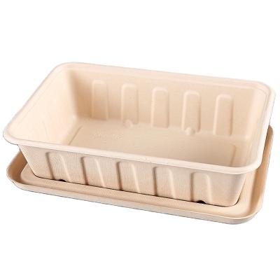 China Environmentally Friendly Biodegradable Cans Sugarcane Biodegradable Food Containers Lunch Bowl Takeout Container for sale