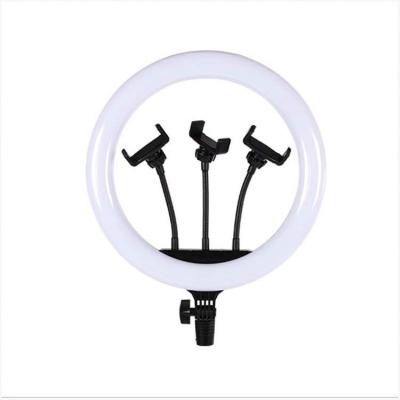 China Hot Sale 12 Inch Adjustable Brightness 12 Inch LED Ring Light 2900-5700k For YouTube Camera Tripod For Phone Camera for sale