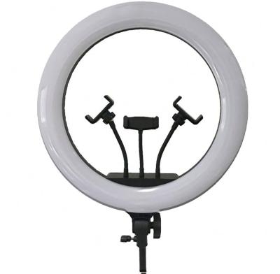 China Hot Sale Adjustable Brightness Dimmable Beauty Ringlight for Live Stream /Makeup/YouTube Video Shooting Equipment for sale