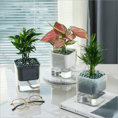 China Modern Unique Plastic Water Flower Pots Desktop Decoration Absorption Transparent Obvious Automatic Vase Square Flower Pots Decor for sale