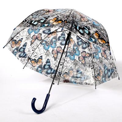 China Apollo Bird Cage Umbrella Fashion Colorful Transparent Creative Set Of Restoration Ways Ancient Mexican Butterfly Umbrella Style for sale