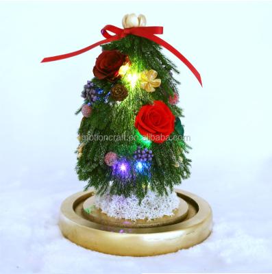 China Wholesale Small MOQ Good Quality 4-6cm Glass Dome Preserved Flower Christmas Trees for sale