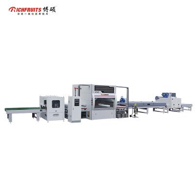 China Richfruits factory direct sale production linefurniture high quality automatic spray paint line building material stores /spraying machine for sale