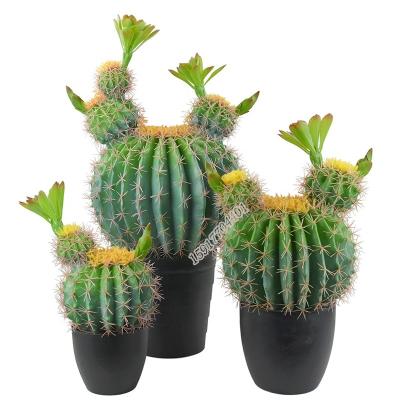 China Rustic Wholesale Indoor Artificial Bonsai Plant Large Fake Flower Cactus Plant For Pot Decoration for sale